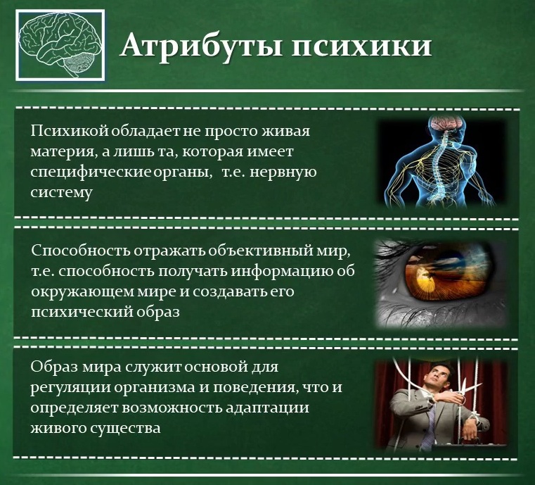атрибуты человеческой деятельности. деятельность человека. атрибуты человеческой деятельности. деятельность человека картинки. черты деятельности человека.