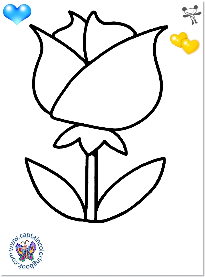 Serene Coloring For 2 Year Olds Capture in 4K Serene Coloring For 2 Year Olds Capture in 4K