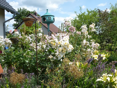Gartenglück im Wandelgarten: Im Lausitzer Tagliliengarten