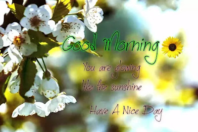 Good Morning Images Good Morning Images