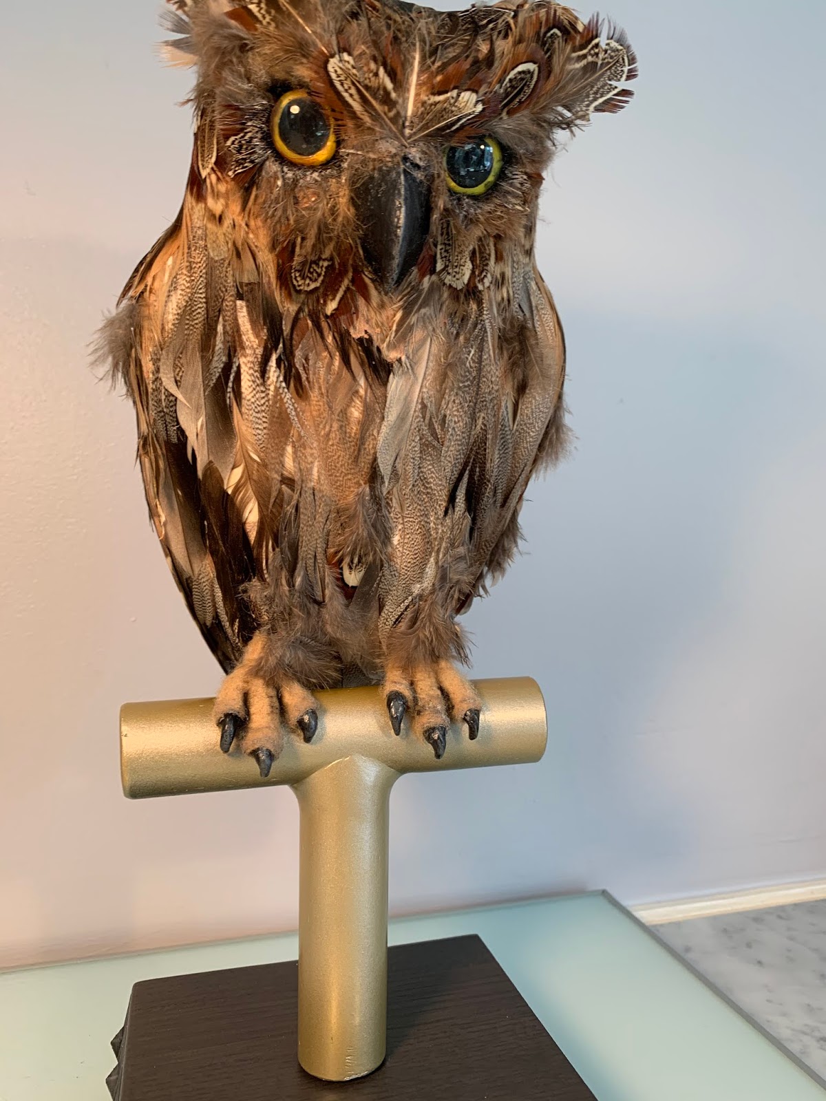 Blade Runner; Tyrell's Replicant Owl Replica