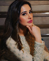 Nargis Fakhri (Actress ) Biography, Wiki, Age, Height, Family, Career, Awards, and Many More