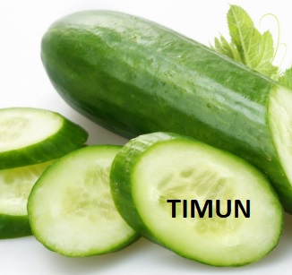 Timun Pun Ada Kembar Ke Ketahui Perbezaan 3 Timun Ini Donna