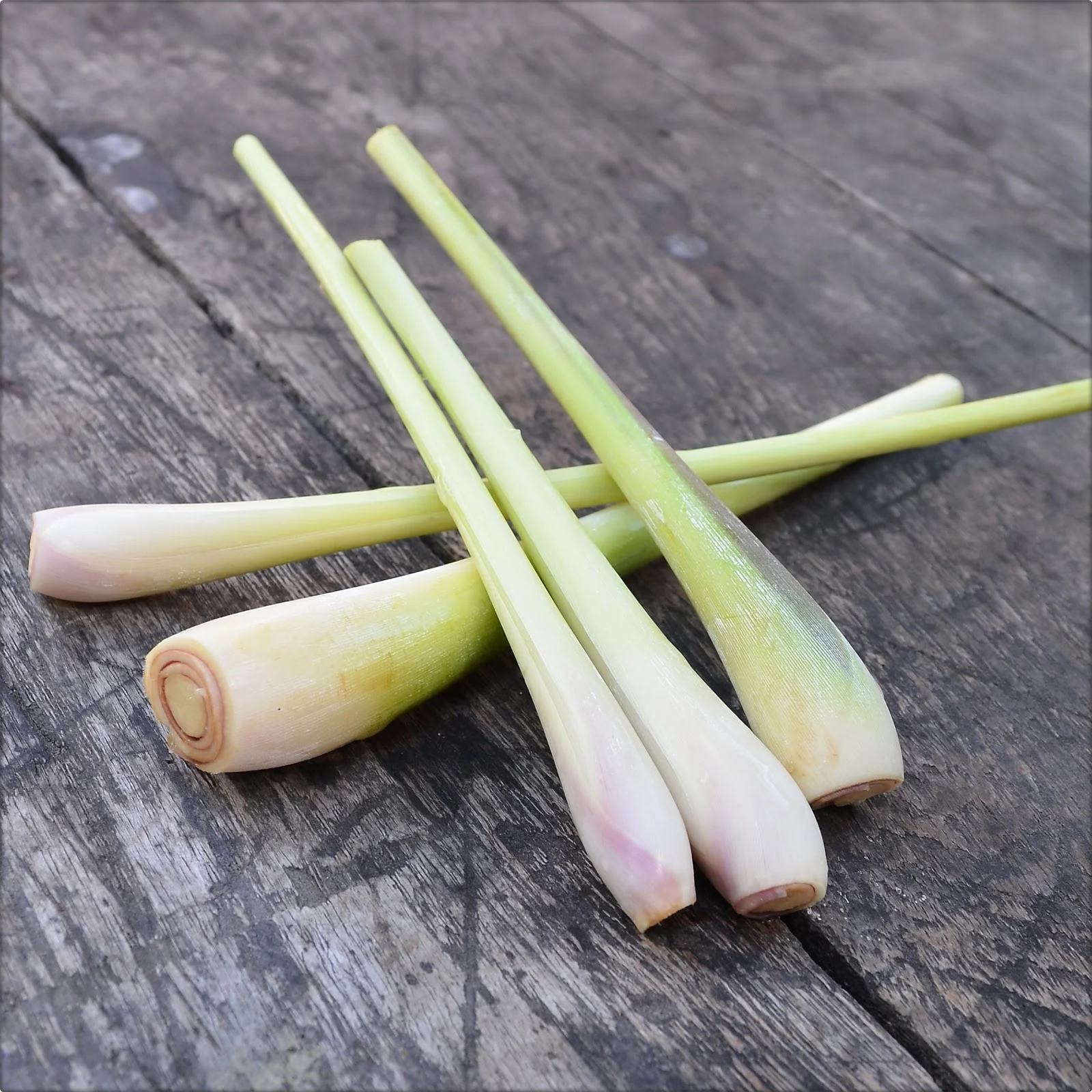 Crisp Lemongrass Shampoo Background in 4K