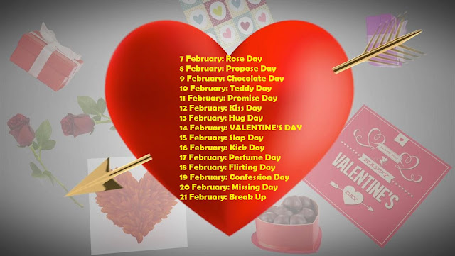 7 Feb To 21 Feb Days List February Special Days List Web News