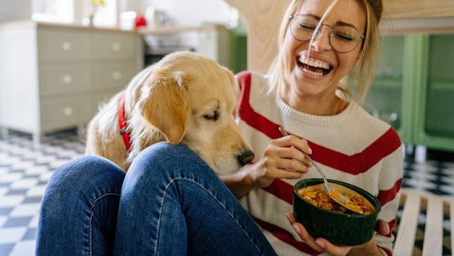 Αυτές είναι οι τροφές που μπορείτε να μοιραστείτε με τον σκύλο σας;