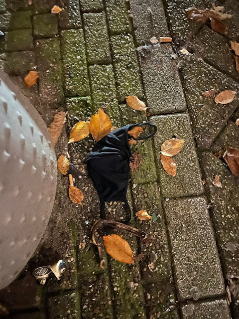 Amsterdam Autumn 21