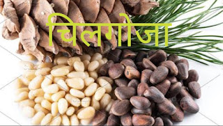 Dry fruits and nuts | ड्राई फ्रूट्स / सूखे मेवे | ParnassiansCafe