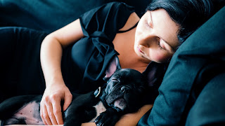 why dogs should sleep with you why should dog sleeps with me why dogs should sleep with you dog sleeps 5 Great Reasons Your Dog Should Sleep With You why Your Dog Should Sleep With You why dog     Reaons