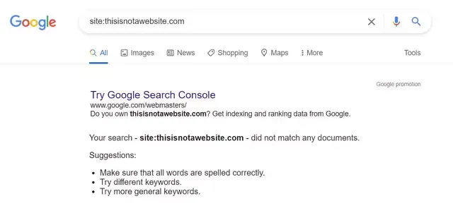 Blog not available on Google Search