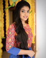 Ammu Abhirami (Indian Actress) Biography, Wiki, Age, Height, Family, Career, Awards, and Many More