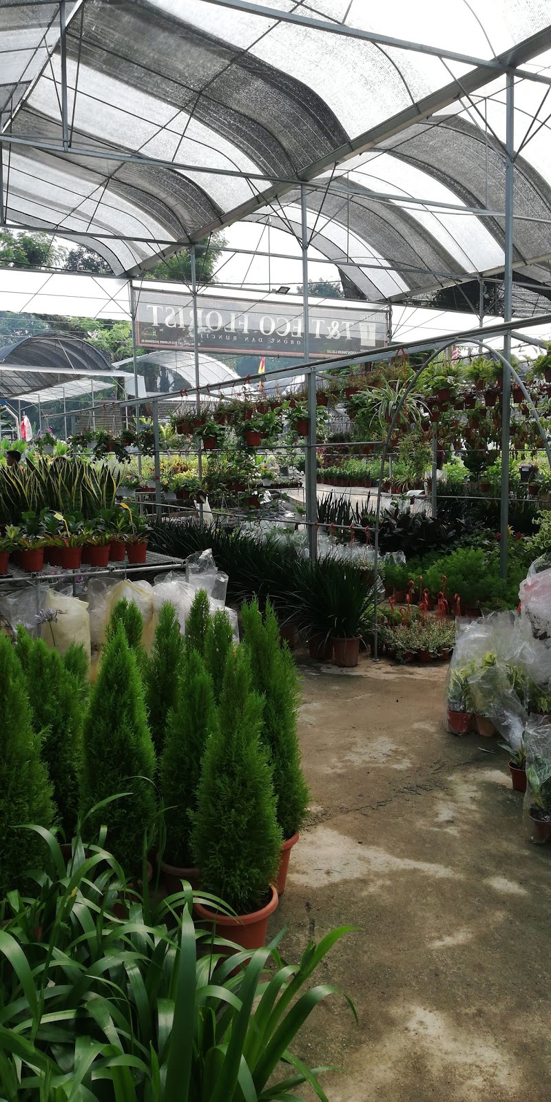 Garden Chronicles of James David Sg Buloh Nursery Visits (Part 4)
