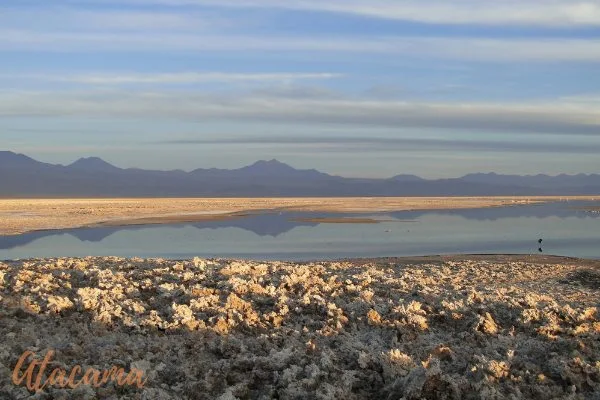 Fotos deserto do Atacama