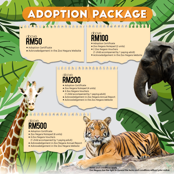 Pelancongan Kini - Malaysia (Malaysia - Tourism Now): Zoo Negara