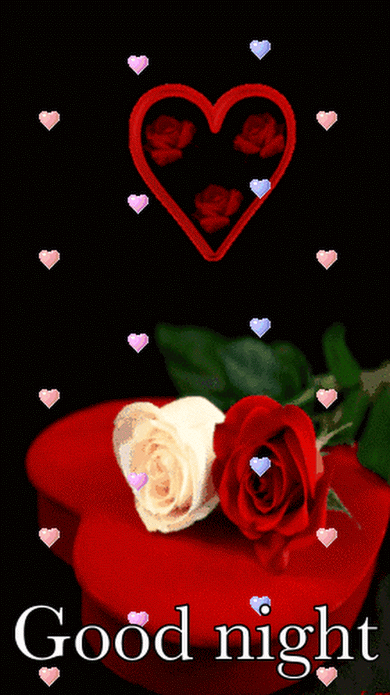 Good.night with red rose. gif