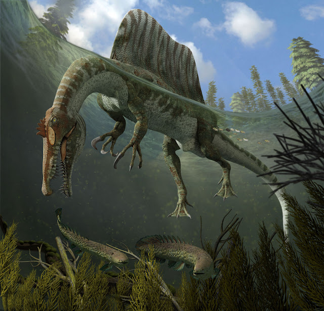 Spinosaurus aegypticus.