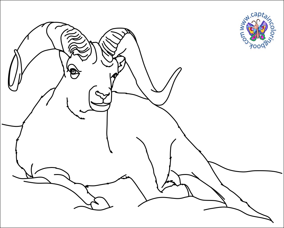 Coloring book pdf download