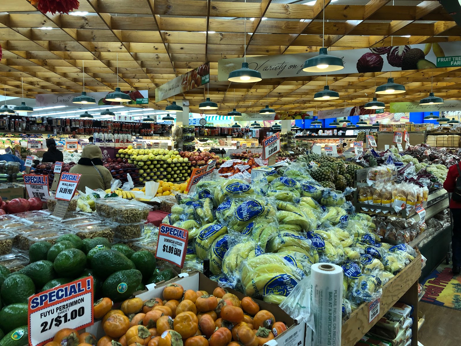 TOUR Fruit Tree Farm Baldwin, NY