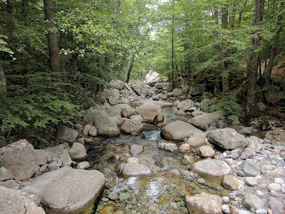 Korsika mit Kindern Reisen mit Kindern Wandern in Korsika Runzelfuesschen Elternblog