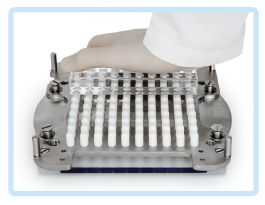 How to fill capsule manually How to fill capsule manually