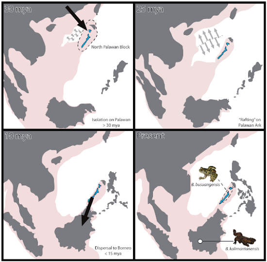 Tectonic Movement of Palawan Island