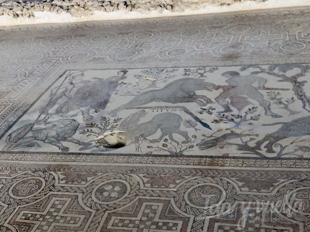 Parque Arquelógico de Carranque mosaico de la muerte de Adonis con perros