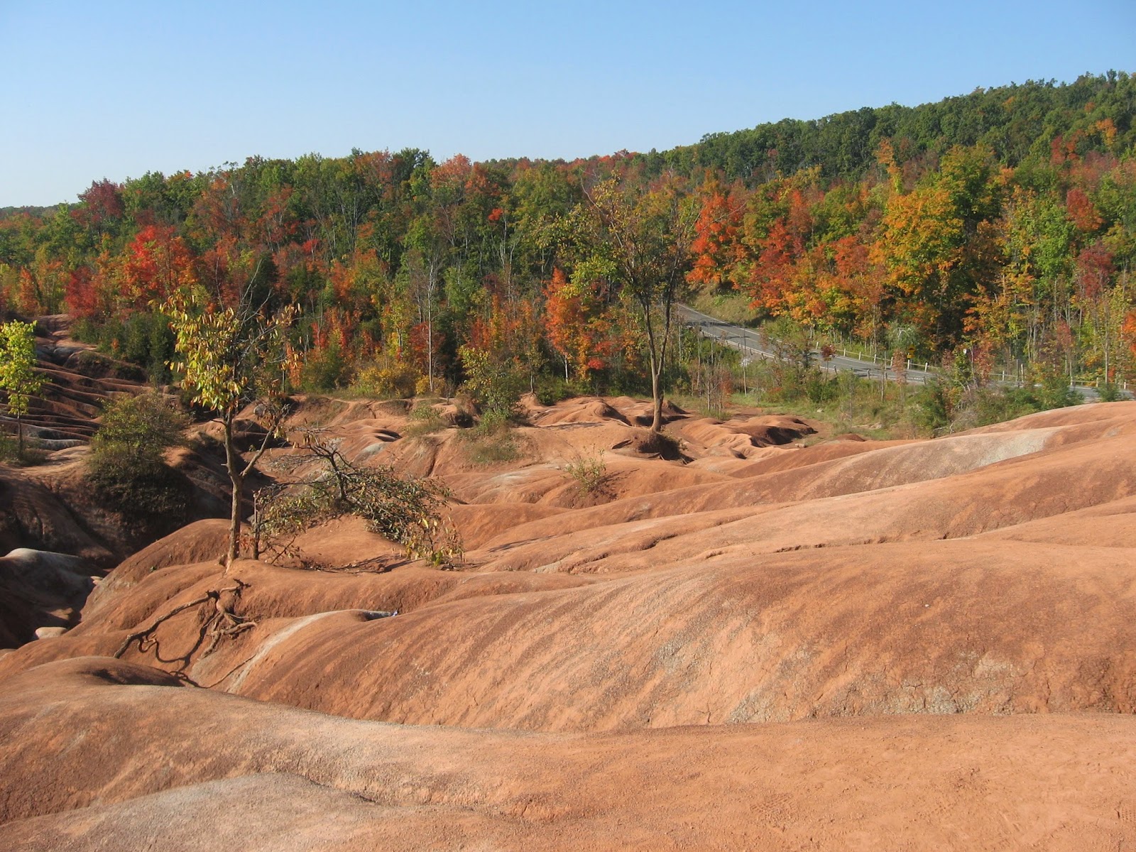 Fibre Art by Mary Katherine Hopkins: Red Rocks in Cheltenham Ontario