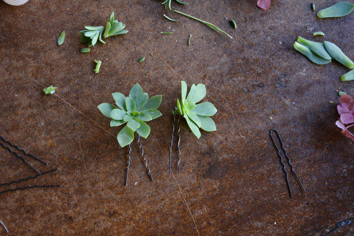 succulent hair pin diy