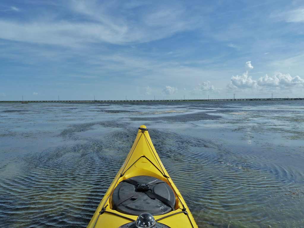 Kayaking the MobileTensaw River Delta 07/17/2010 Conway Creek