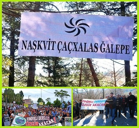 lazlarin kulturel mirasindan bir hayat hikayesine soylesi cemil telci ali ihsan aksamaz gurcu haber