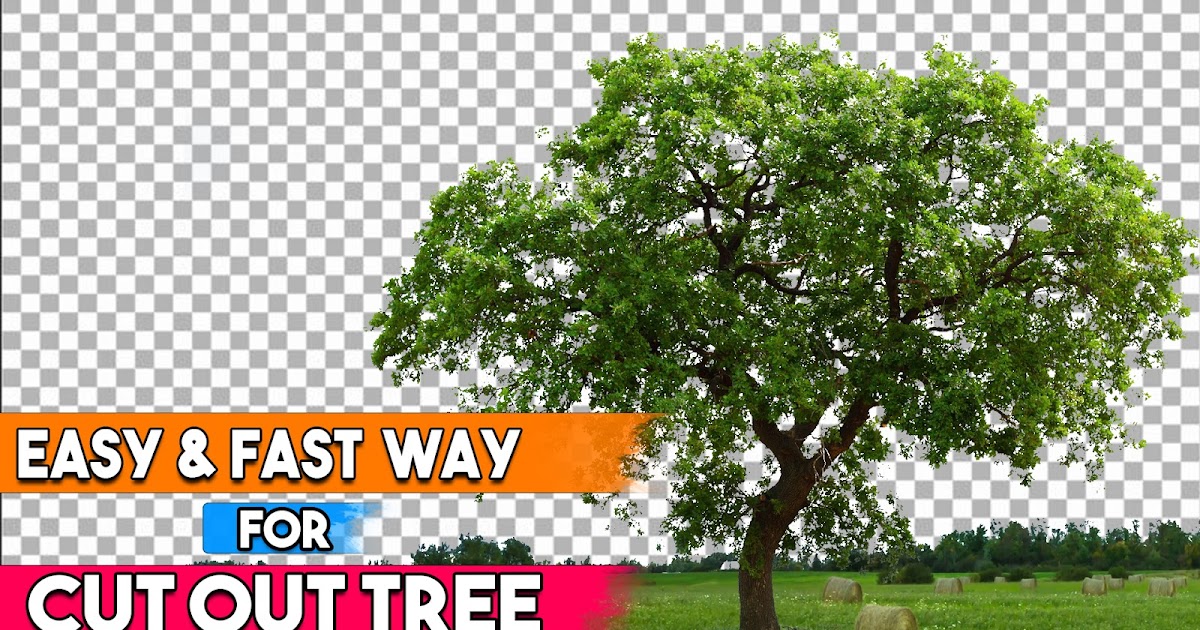 How to cut out tree in Tutorials (Quick Techniques)