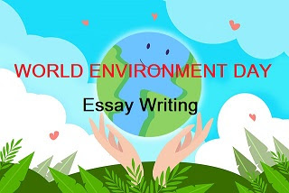environment essay