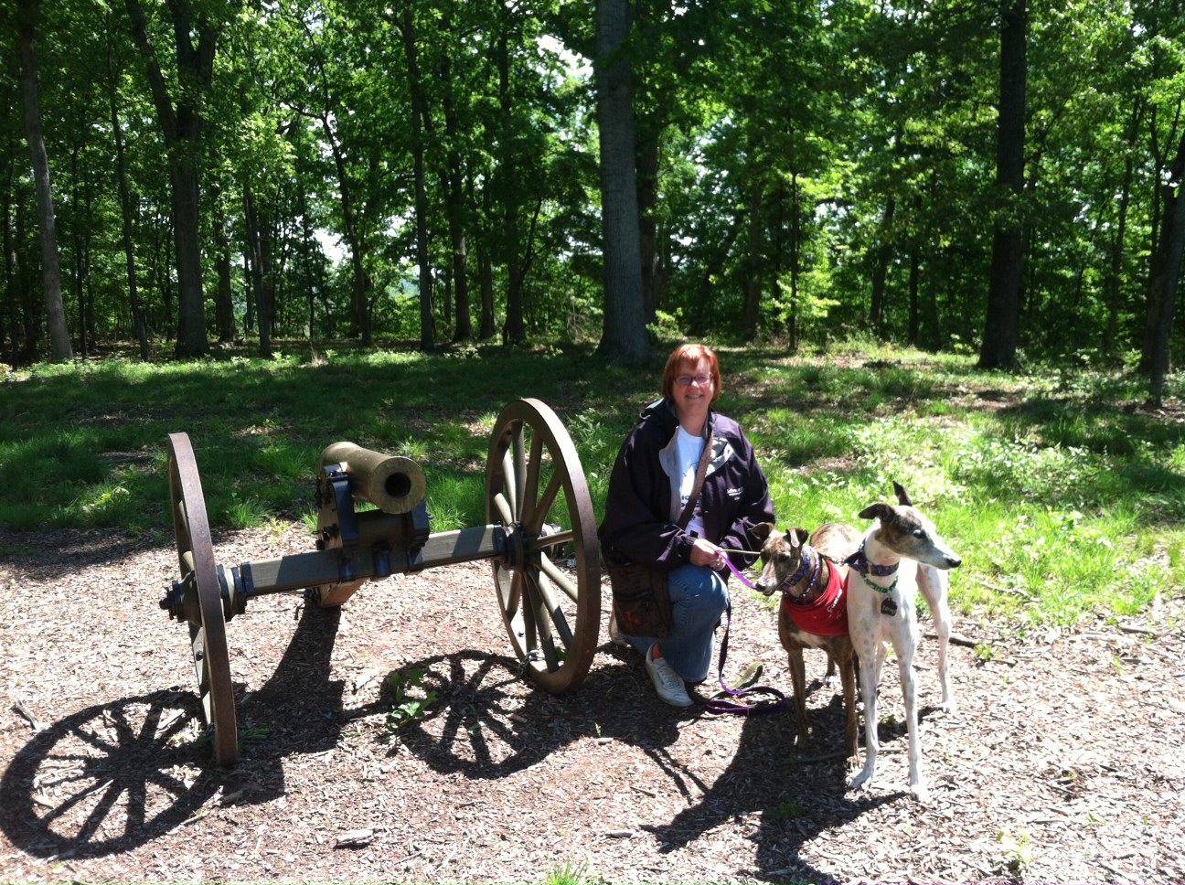 Pawstcards from Hampton Roads Ball's Bluff Battlefield Regional Park