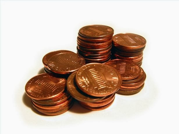  Investment in Pennies 2014-15