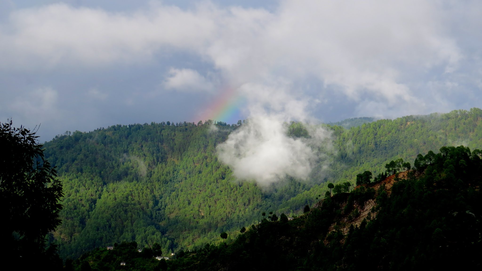 Spicy Onion Buns (Vegan) / Breadbakers Ambrosia