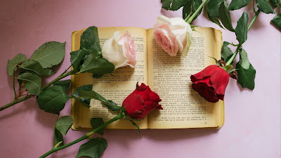 Roses flowers on book wallpaper