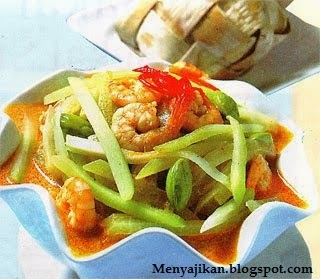 Ketupat Sayur Labu Siam