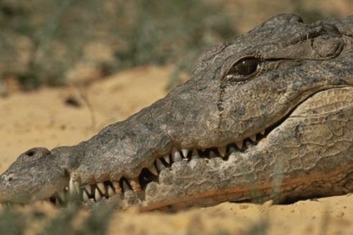 Banyak yang Tidak Tahu Padahal Dilarang, Hal Ini Tidak Boleh Dilakukan ketika Jumatan Banyak yang Tidak Tahu Padahal Dilarang, Hal Ini Tidak Boleh Dilakukan ketika Jumatan