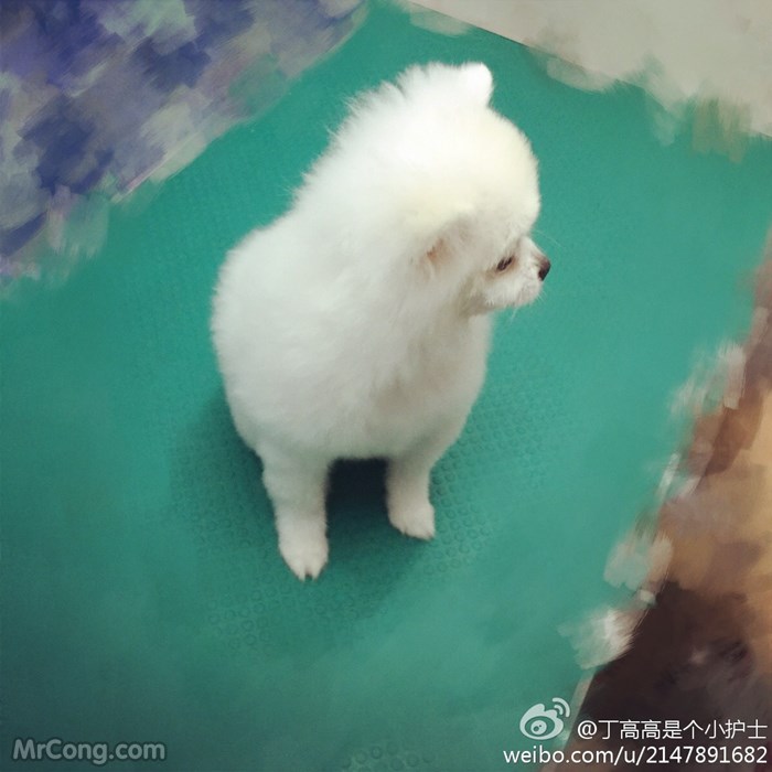 Cute selfie of ibo 高高 是 个小 护士 on Weibo (235 photos) photo 10-5