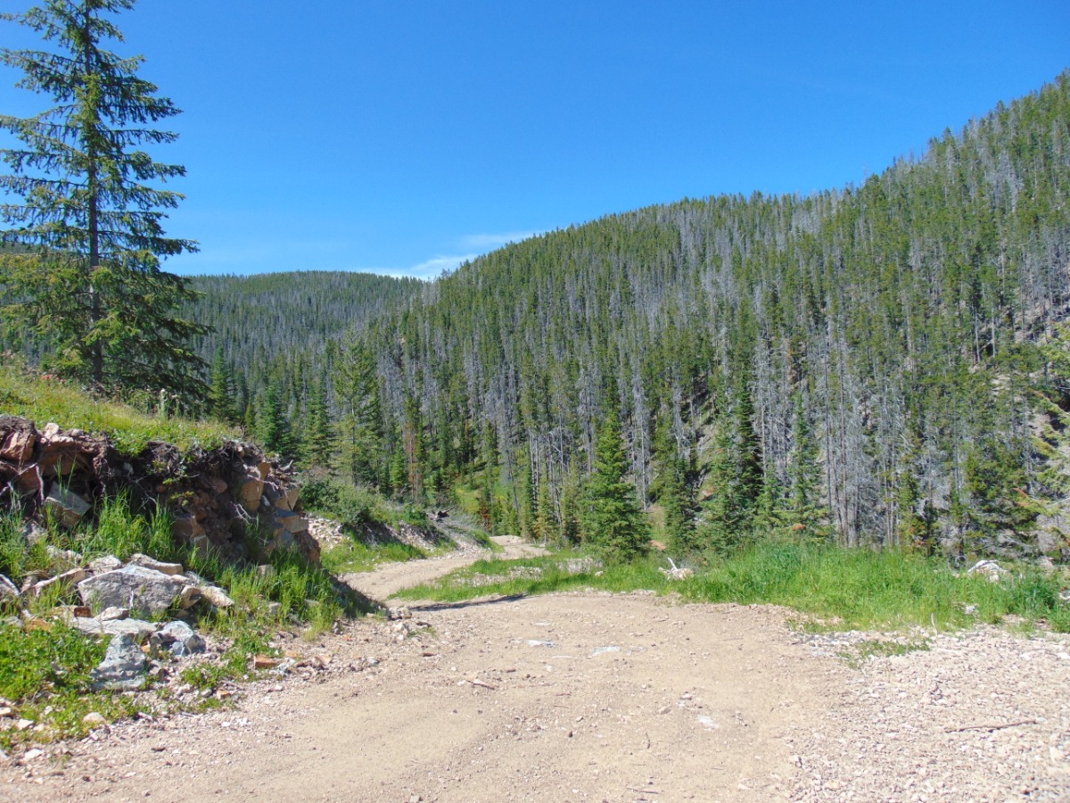 Northwest National Real Estate A Collection Of Real Estate Brokerages