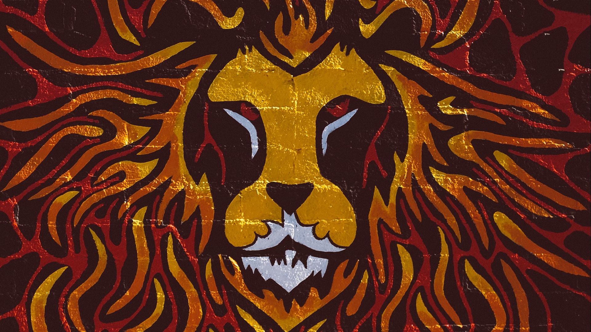 Lion Graffiti Wall Art Wallpaper