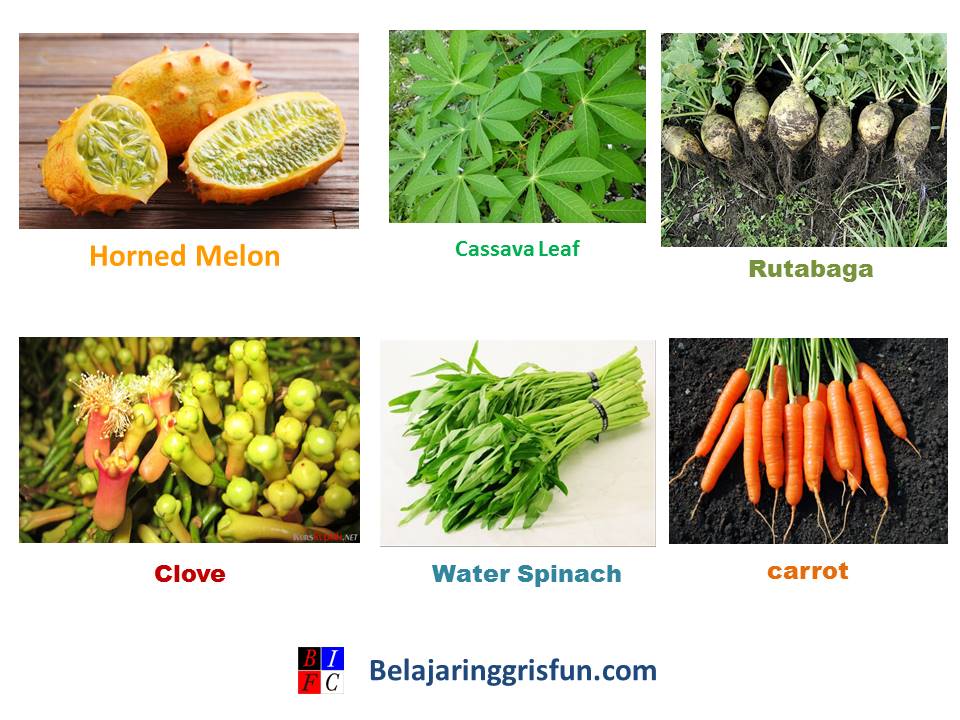 100 Nama-Nama Sayuran dan bumbu dapur dalam Bahasa Inggris ...