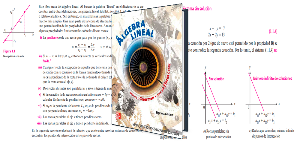 Algebra lineal stanley grossman 7 edicion pdf