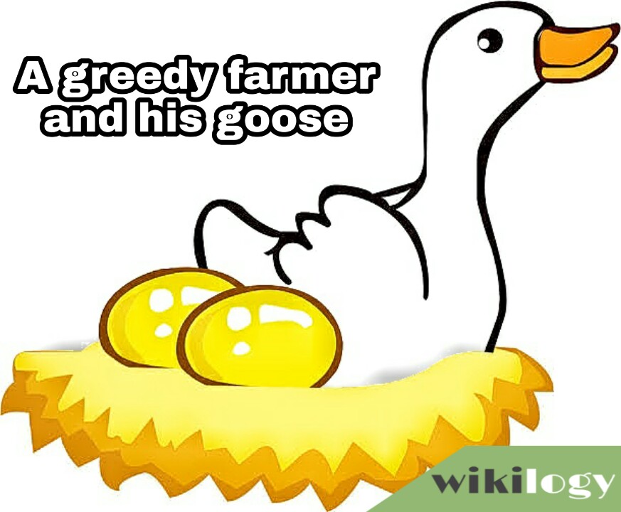 A greedy farmer story, A greedy farmer and his goose story, Grasp all lose all story