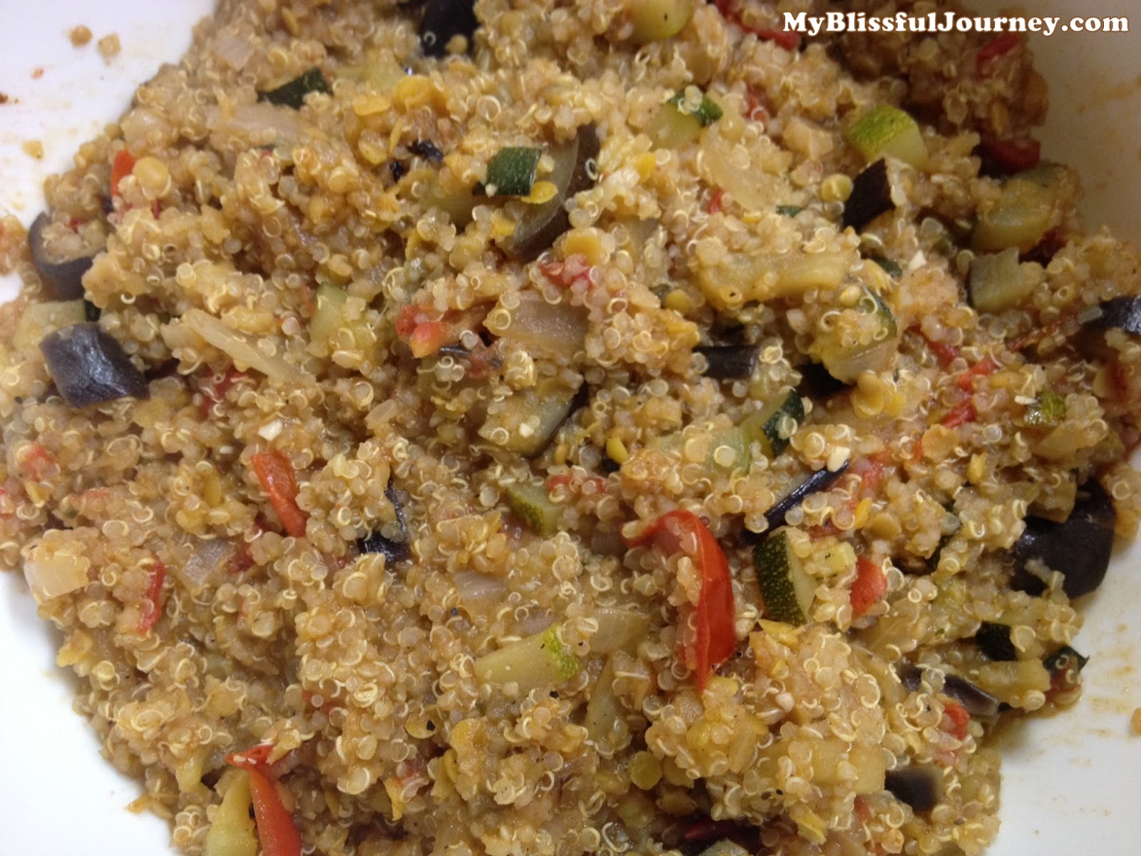 My Blissful Journey Vegan MoFo Quinoa Lentil Garam Masala