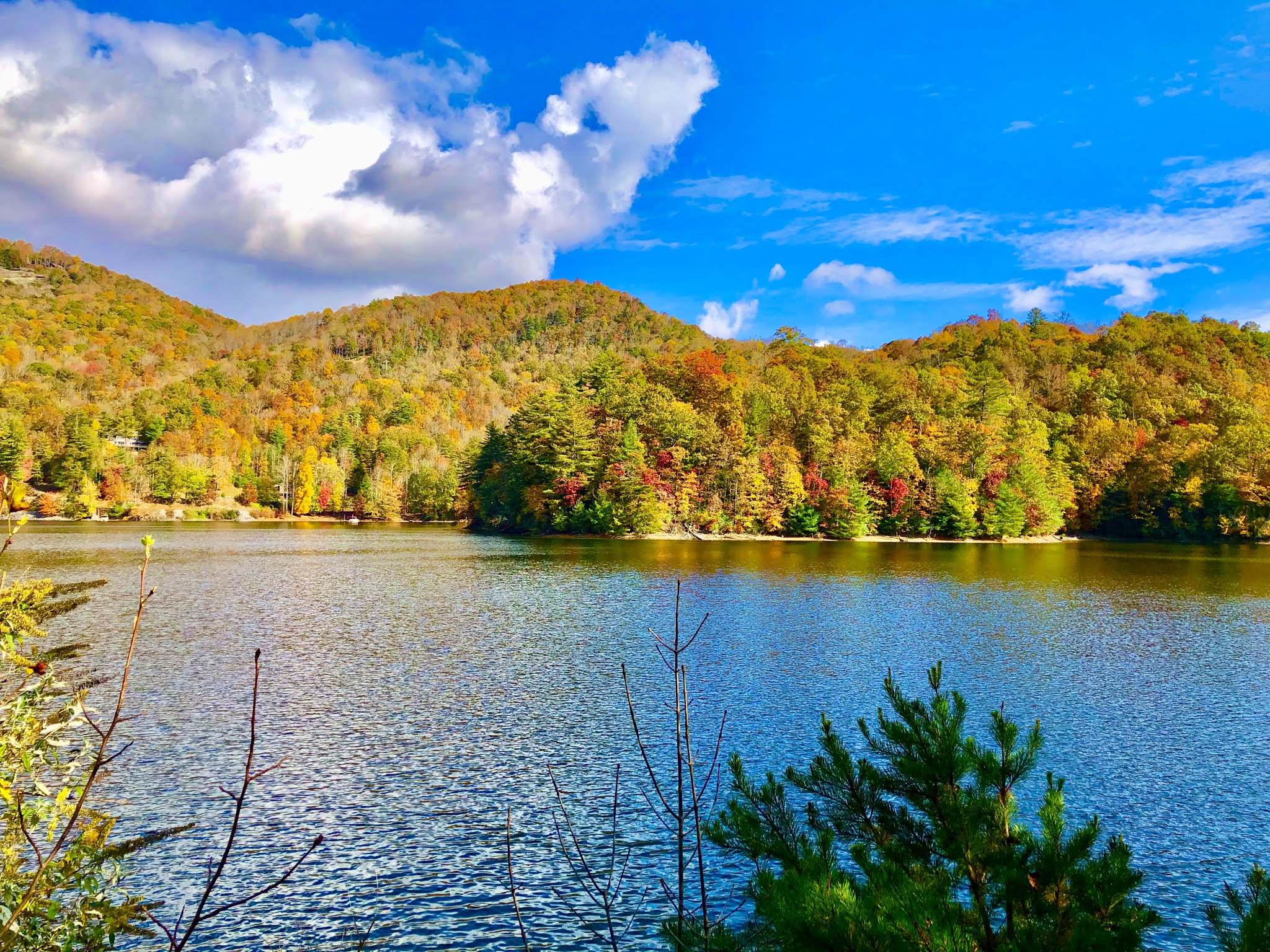 Grim's Hall Wolf Lake