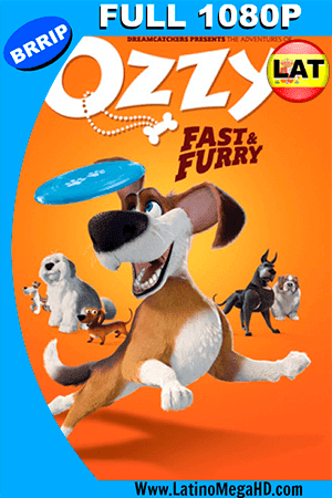 Ozzy, Rápido y Peludo (2016) Latino FULL HD 1080P - 2016