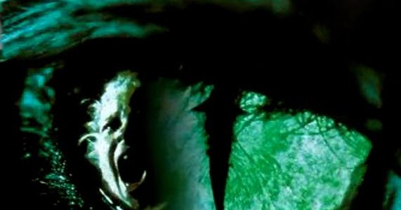 Los ojos del gato. Crítica.