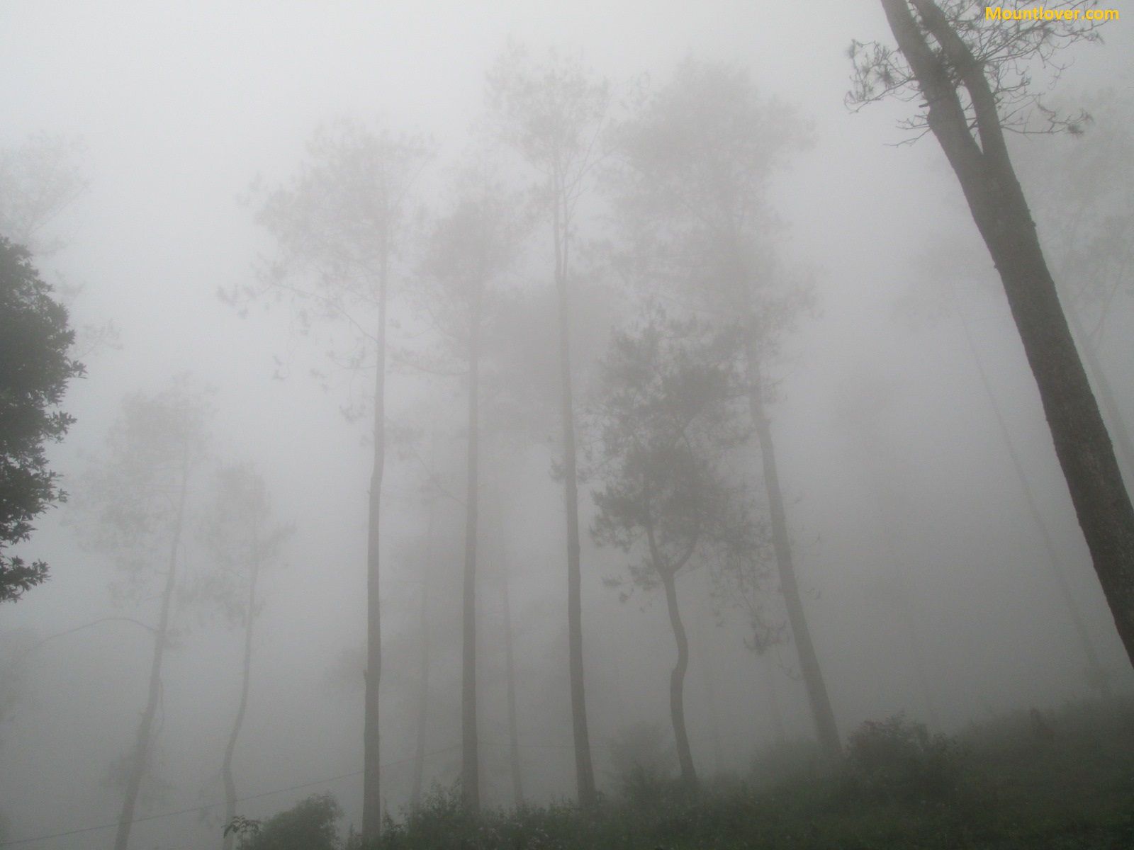 8 Tips Mendaki Gunung Saat Musim Hujan Mount Lover