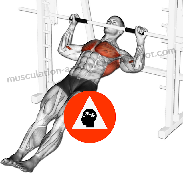 exercice musculation dorsaux traction horizontale poids du corps